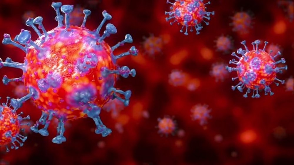 Ötən həftə Azərbaycanda koronavirus infeksiyasına 4995 nəfər yoluxub