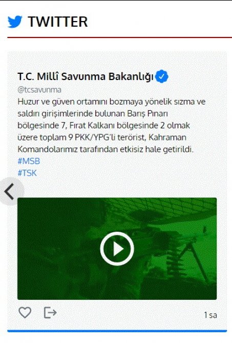 Türkiyə Ordusu daha 9 PKK/YPG terrorçusunu məhv edib