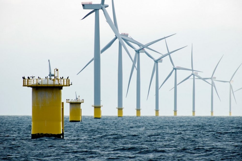 2050-ci ildə Avropa İttifaqında 300 kVt dəniz külək enerjisindən istifadə olunacaq
