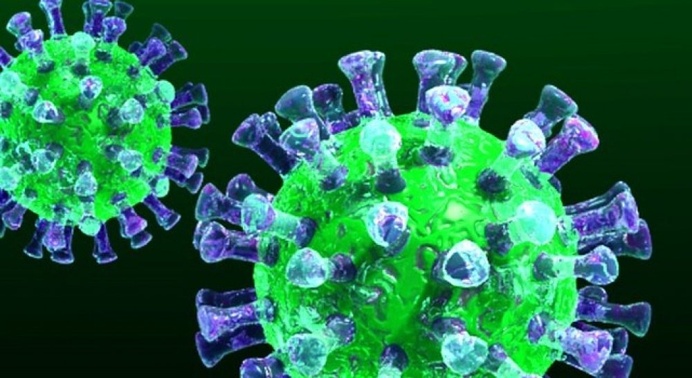 Paytaxt üzrə koronavirusa yoluxma hallarının 15 faizi Binəqədi rayonunda qeydə alınıb