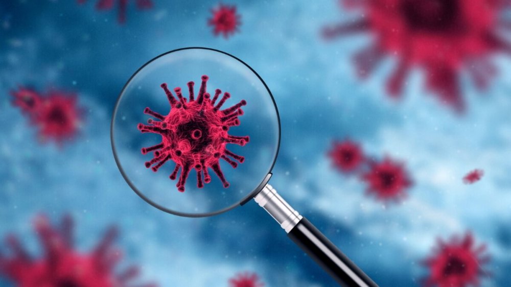 ÜST yeni koronavirus ştammı haqqında məlumatları şərh edib