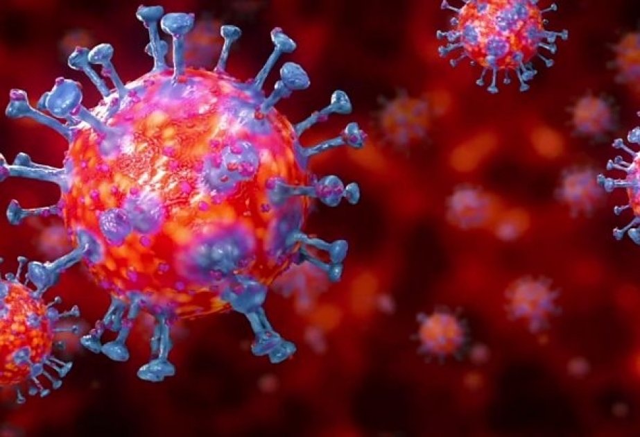 Koronavirusa ən çox yoluxma halları Binəqədi, Xətai və Yasamal rayonlarında qeydə alınıb