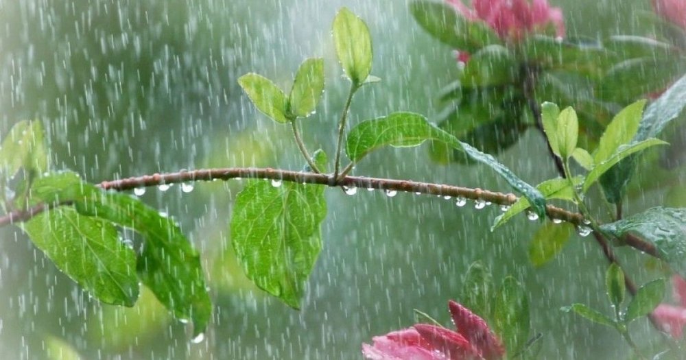 Sabah bəzi rayonlarda qısamüddətli yağış yağacağı, dolu düşəcəyi proqnozlaşdırılır