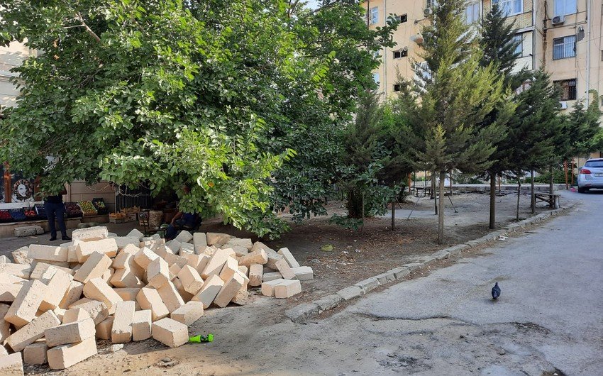 Nizami rayonunda ağacların kəsilərək tikinti aparılmasının qarşısı alınıb