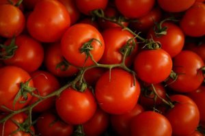 Azərbaycanın daha 12 müəssisəsinə Rusiyaya pomidor və alma ixrac etməyə icazə verilib