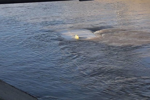 Salyanda avtomobil su kanalına düşdü, sürücü öldü