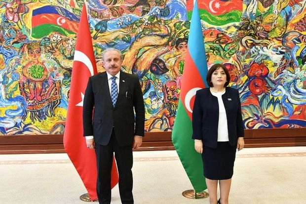 Azərbaycan və Türkiyə parlamentlərinin sədrləri görüşüb
