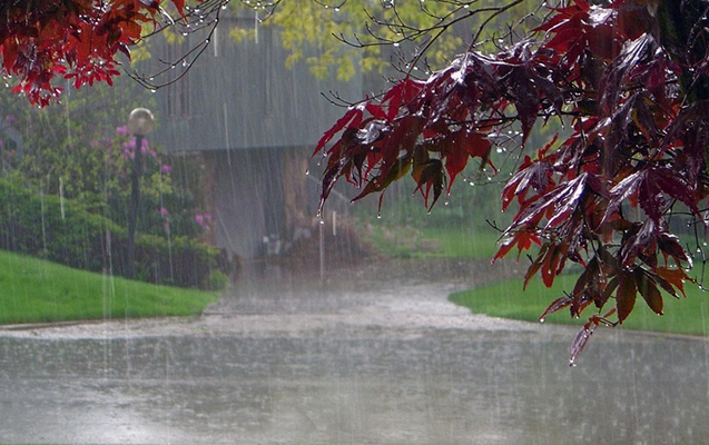 Şimşək çaxıb, leysan xarakterli yağış yağıb