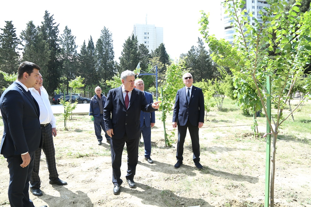 Akademik İsa Həbibbəyli Nadir ağaclar parkına baxış keçirib