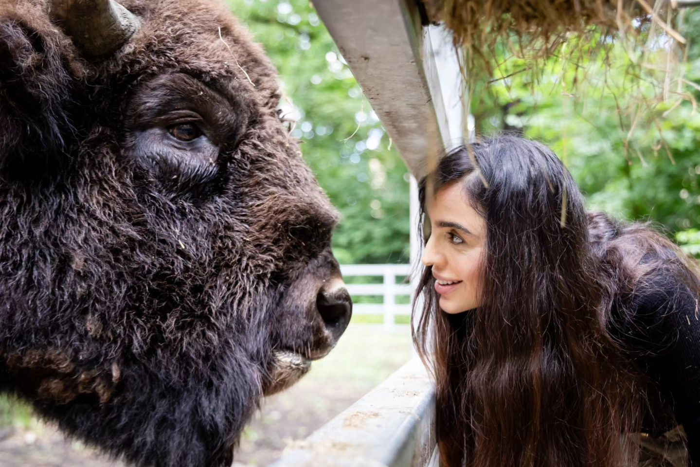 Leyla Əliyeva Berlin zooparkında