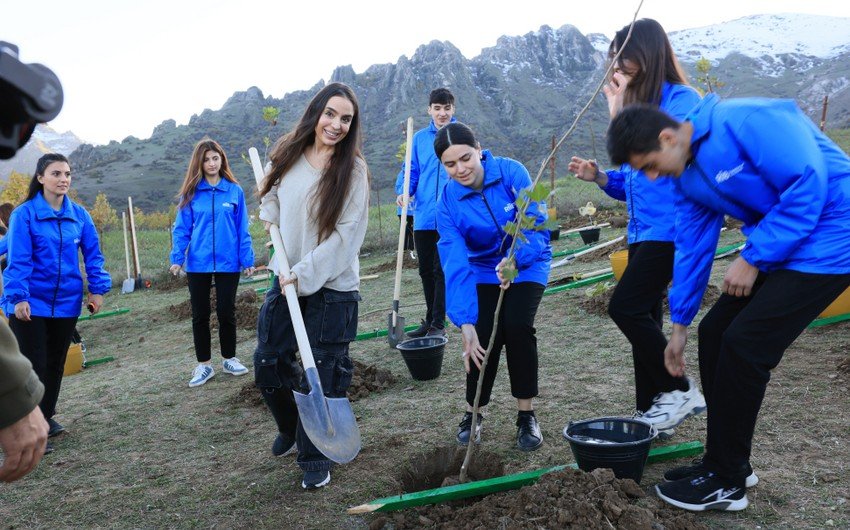 Heydər Əliyev Fondunun vitse-prezidenti Leyla Əliyeva Lerikdə ağacəkmə aksiyasında iştirak edib