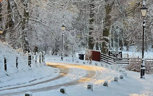 Sabah qar yağacaq, yollar buz bağlayacaq