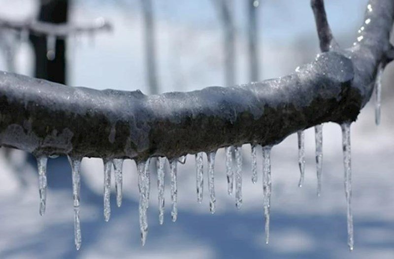 Bakıda 8° şaxta olacaq